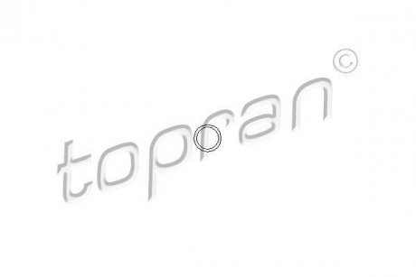 Прокладання болтів клапанної кришки TOPRAN TOPRAN / HANS PRIES 206528
