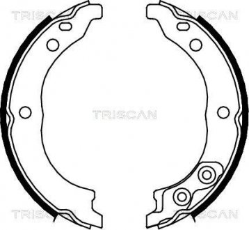 Гальмівні колодки ручного гальма TRISCAN 810010010