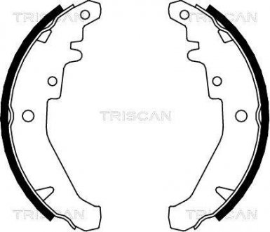 Гальмівні колодки (набір) TRISCAN 810015026