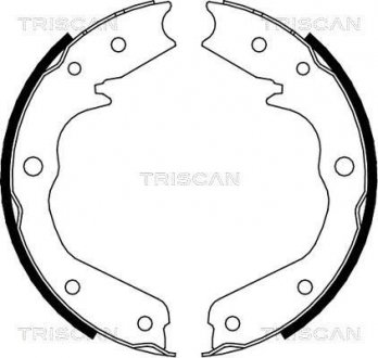 Комплект гальмівних колодок, Стоянкове гальмо TRISCAN 810024002 (фото 1)