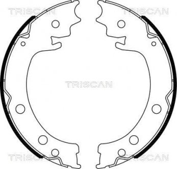 Гальмівні колодки ручного гальма TRISCAN 810069006 (фото 1)
