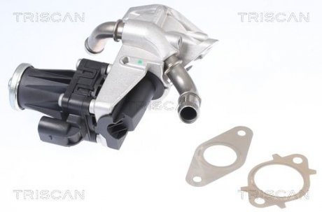 Клапан EGR TRISCAN 881316150