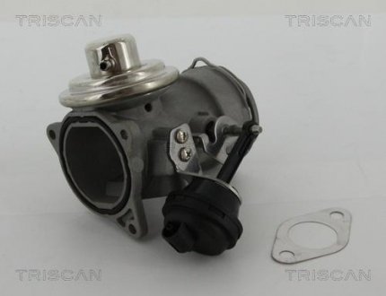 Клапан EGR VAG 1.9Tdi TRISCAN 881329036