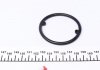 Уплотняющее кольцо, масляный радиатор AUTOMOTIVE TRUCKTEC 07.18.042 (фото 2)
