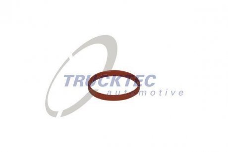 Прокладка AUTOMOTIVE TRUCKTEC 0810060 (фото 1)