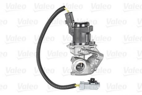 Клапан EGR Valeo 700412