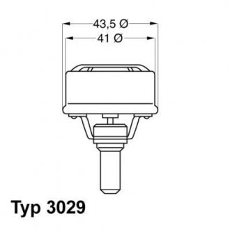 Термостат, охлаждающая жидкость WAHLER 3029.89