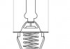 Термостат WAHLER 346991D (фото 1)