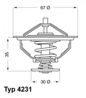 Термостат системы охлаждения WAHLER 423180D